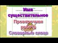 Имя существительное. Проверочная работа