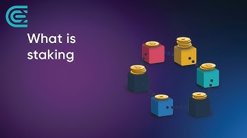What is Cryptocurrency Staking? CEX.IO Tutorial