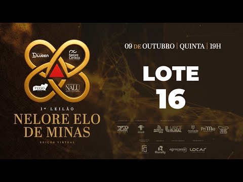 LOTE 16 NALU 26