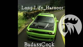 Long Life BASS BOOSTED | Harnoor Ft. Byg Byrd, Sunny Malton