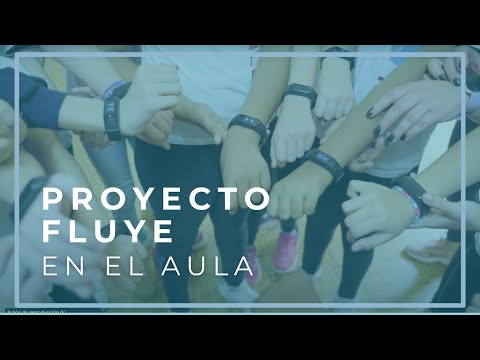 Proyecto Fluye