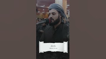 رعد محمد الكردي | سورة القصص