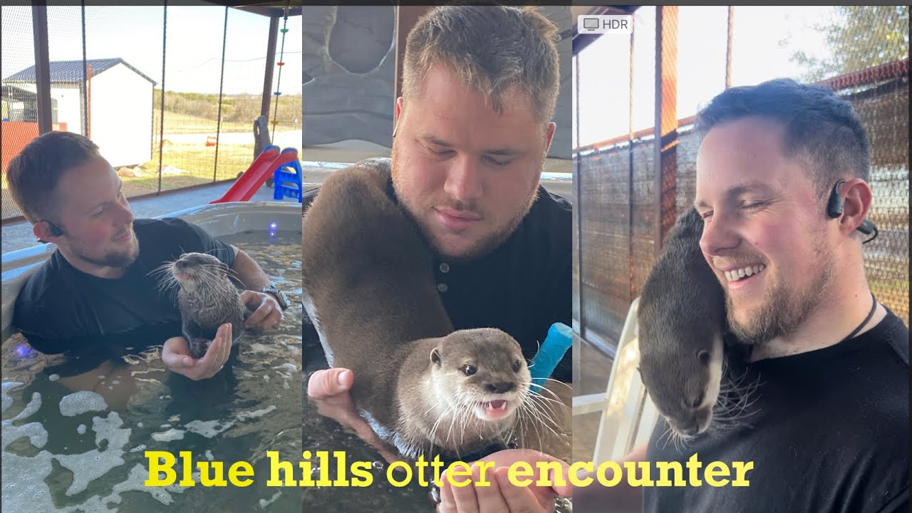 Otter Encounter Blue Hills Ranch McGregor Texas YouTube Otter Encounter Blue Hills Ranch McGregor Texas YouTube