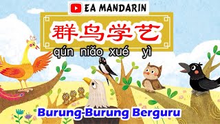 Cerita Mandarin《群鸟学艺》Qun Niao Xue Yi