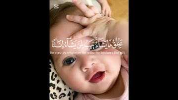 #القرآن_الكريم #سورة الشورى( الأية 49) #القارئ احمد العجمي#رب لاتذرني فردا وانت خير الوارثين
