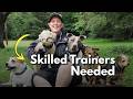 The Growing Need for Experienced Dog Trainers in Service Dog Work
