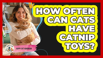 How Often Can Cats Have Catnip Toys?