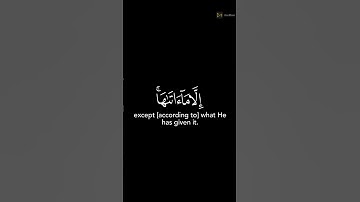 قران كريم للشيخ رعد الكردي