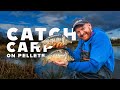 Catch carp on pellets mainline match fishing tv 
