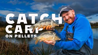 Catch Carp on Pellets: Mainline Match Fishing TV -