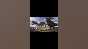 The Overlooked Beast #trex#rex#giganotosaurus#carcharodontosaurus#tyrannotitan#dinosaur#dinosaurs