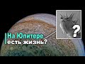 Кто может жить на газовых гигантах?