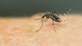CDC's historic Zika warning