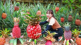 Harvesting Pineapple to Sell at the Market | Cooking and Caring for Grandma