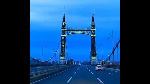 القارئ / مشاري الفالح