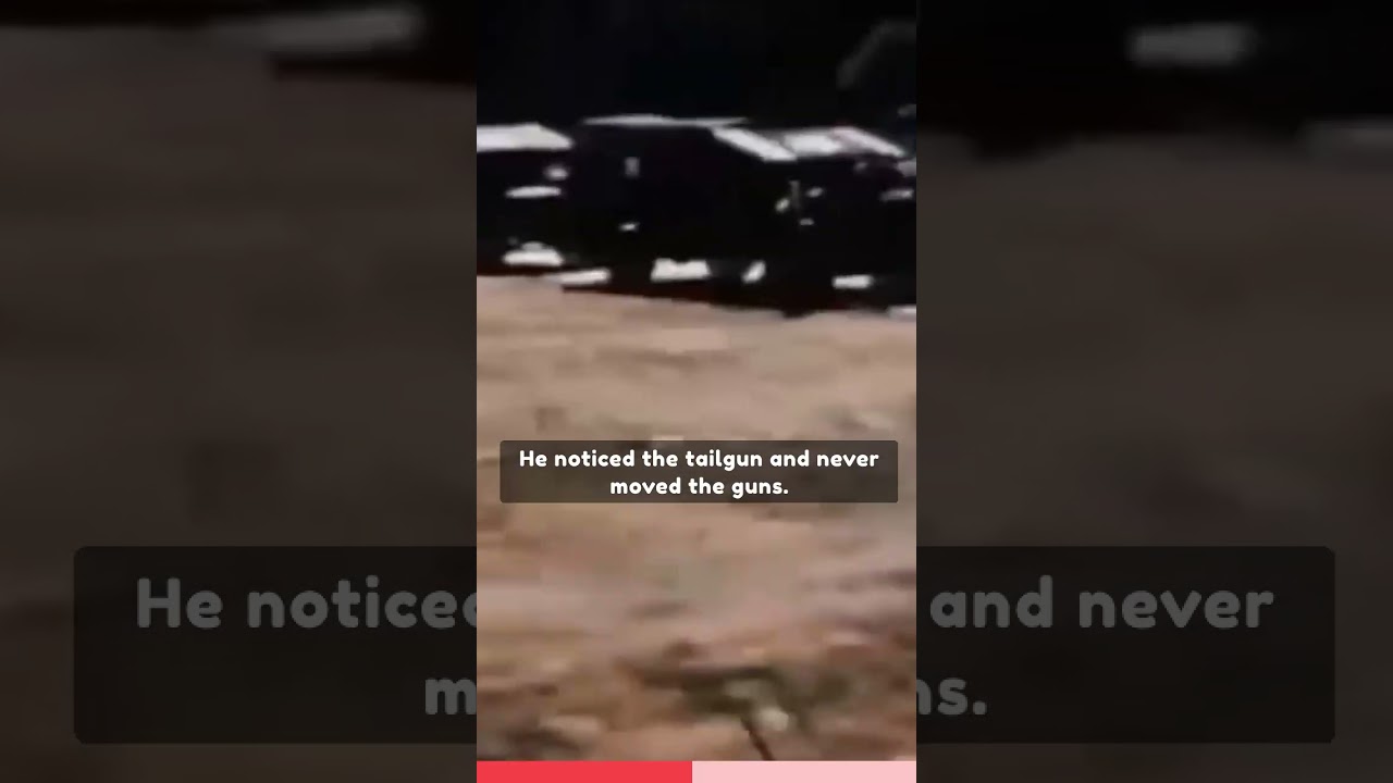 Untold Valor: Franz Stigler - A Hero of World War II 