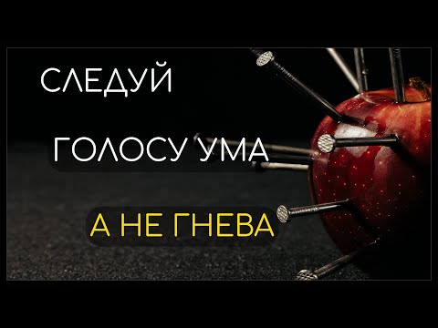 Замечательная восточная притча.