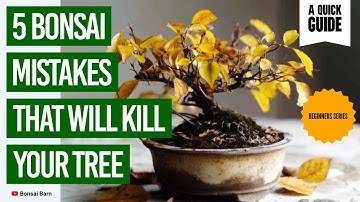 “5 Bonsai Mistakes That Will Kill Your Tree” : “Beginner Bonsai Care Tips”