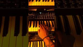 Synthtopia pt.59
