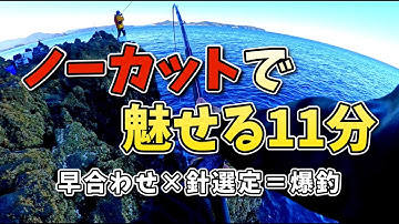 【ノーカット】早合わせ×針選定が噛み合った11分間。爆釣の答えがここに。