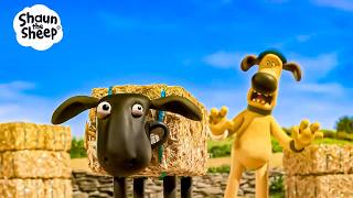 WE PRANKED BITZER SO HARD! 🐶😂 | Shaun the Sheep USA