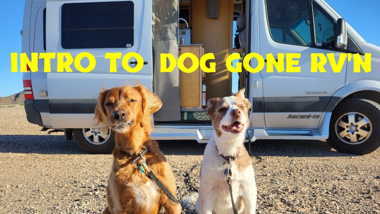 OUR NEW INTRO TO DOG GONE RV'N ADVENTURES AND DISCOVERIES
