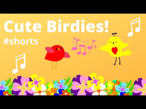 Cute Birdies Featuring Ibrahim Tatlises Song Shorts 