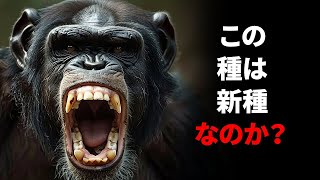 ライオンさえも恐れる、超残忍な類人猿