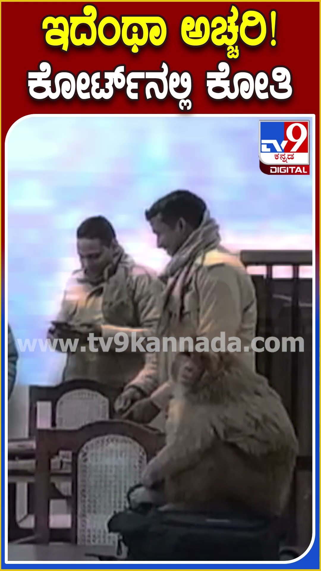 ಇದೆಂಥಾ ಅಚ್ಚರಿ! ಕೋರ್ಟ್​ನಲ್ಲಿ ಕೋತಿ​ #Monkey #Tv9D