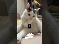 Meme Funny Щ ЫЊЩ Memes ЫЊЪ Щ ШЁЩ Ш Щ ШЇЩ Щ Щ ШЄЩ Ш Щ Ъ Щ ЫЊЩ вќ пёЏвќ пёЏвќ пёЏ Meme Funny Щ ЫЊЩ Memes ЫЊЪ Щ ШЁЩ Ш Щ ШЇЩ Щ Щ ШЄЩ Ш Щ Ъ Щ ЫЊЩ вќ пёЏвќ пёЏвќ пёЏ