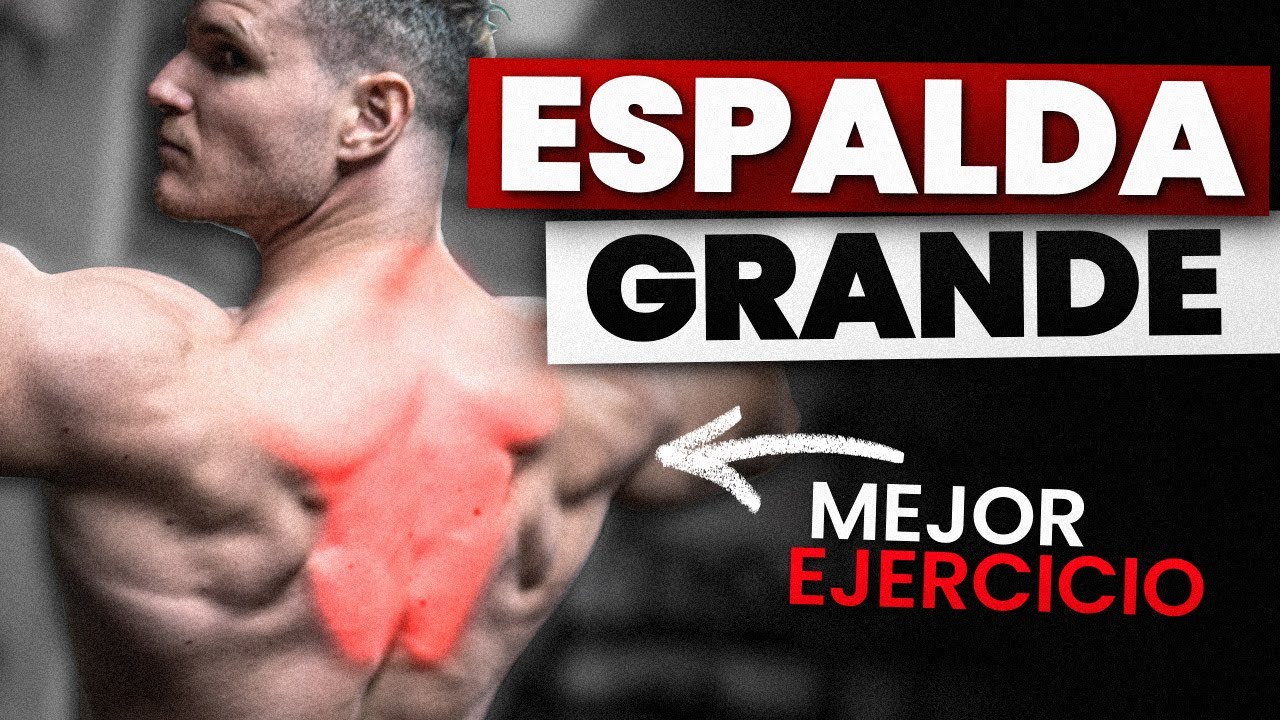 Entrenamiento: Ejercicios Densidad Espalda Efectivos – ICWT