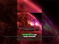 Understanding the Sun's 11 Year Cycle Sunspot Secrets Revealed