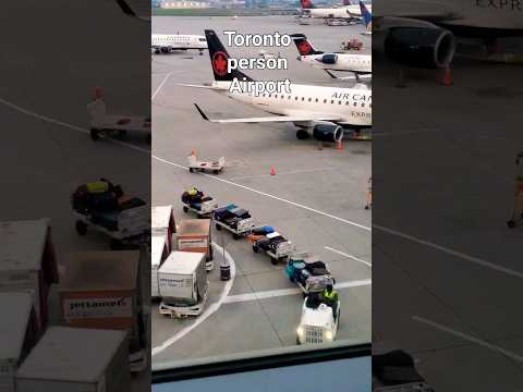 Video: Toronto Pearson Internasionale Lughawe-vervoer