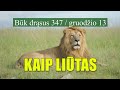 KAIP LIŪTAS  -  BŪK DRĄSUS (347)