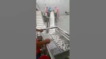 On Site Automatic stainless steel quick frozen dumpling production line