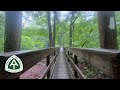 Appalachian Trail 2026 | Day 59 | The Climb from Hell