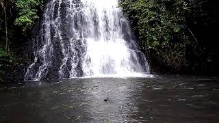 Download Lagu Jantur dora Kalimantan Timur Kutai Barat MP3 Download Lagu Jantur dora Kalimantan Timur Kutai Barat MP3
