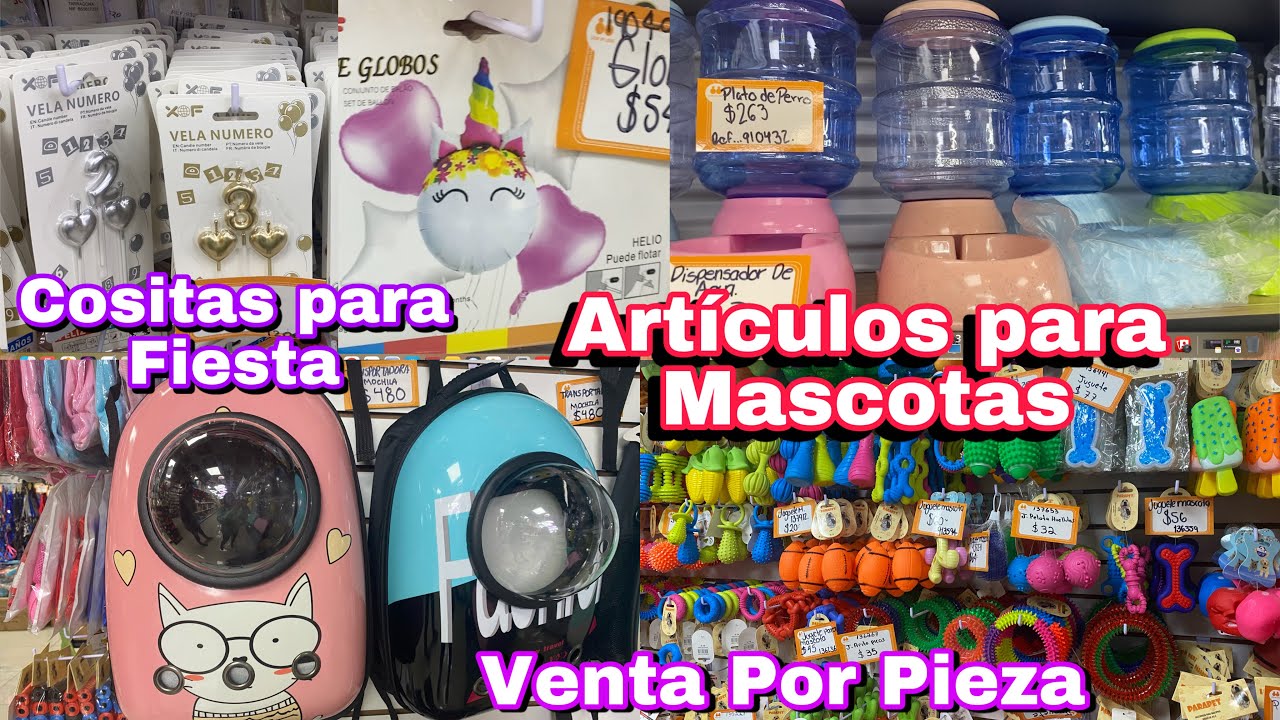 accesorios para perros y conjunto de elementos de tienda de