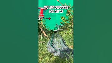 Day 11 of opening my custom advent calendar! #shorts #daily #series #rc #youtube #action #christmas