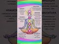 Chakra Support✨| Мягкая поддержка чакр ✨