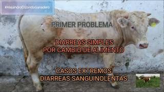 De sangre coágulo terneros de en imágenes