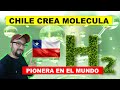 CHILE produce la primera molécula de Hidrógeno Verde