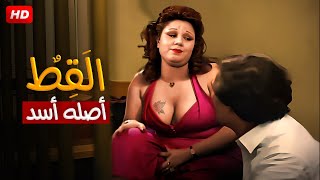 فيلم الاثارة | القط اصله اسد | بطولة محمود ياسين و مديحة كامل و هياتم بأعلى جودة
