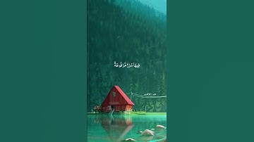 وجوه يومئذ ناعمة | تلاوة رائعة