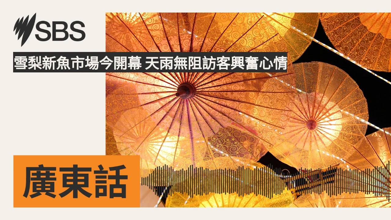 雪梨新魚市場今開幕 天雨無阻訪客興奮心情 | SBS Cantonese - SBS廣東話節目