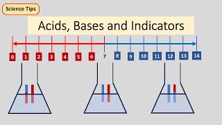 Acids, Bases and Indicators | Grade 7 Science | KJSEA Revision
