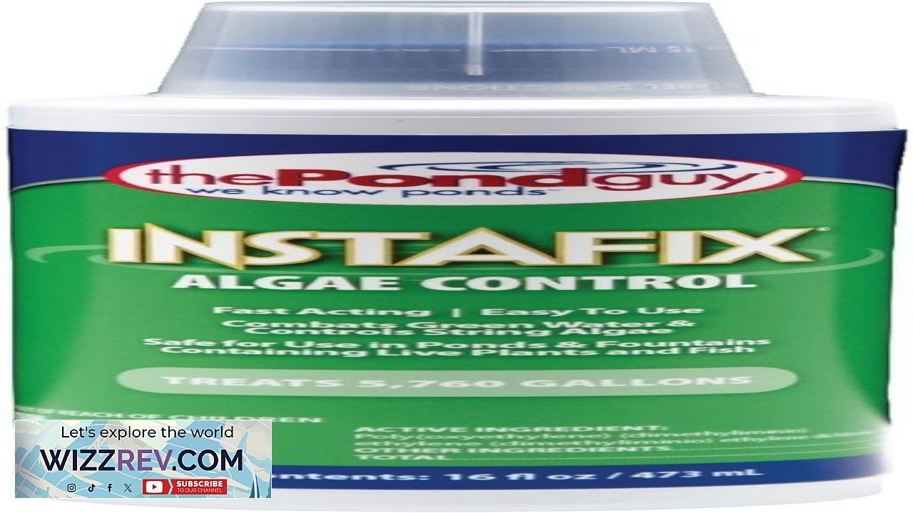 The Pond Guy InstaFix Algae Control Outdoor Water Garden Fountain & Birdbath