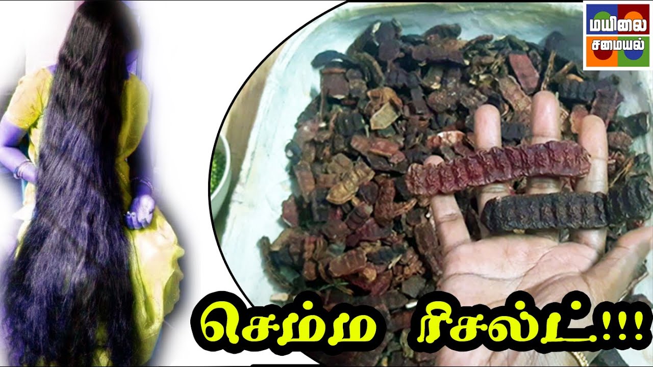 Seeyakai Powder Ingredients In Tamil சீயக்காய் தூள் செய்வது எப்படி | Seeyakai Powder Preparation | Shikakai