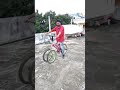 Double tyre modified cycle and  did wheelie shorts to brother ss cyclestunt