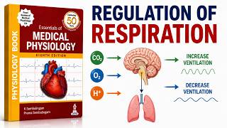 Chapter 126 | Regulation of Respiration Explained | Neural & Chemical Control of Breathing